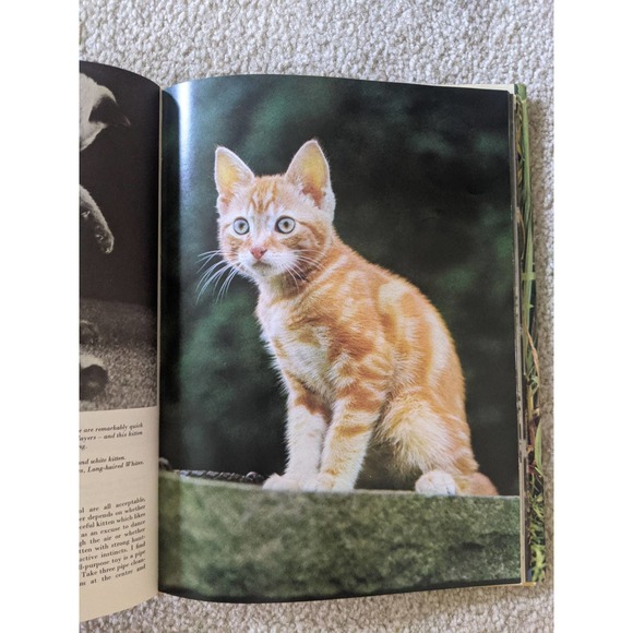 The Treasury of Kittens by Marjorie Hudson (1973) Vintage Hardcover Book - Picture 5 of 7